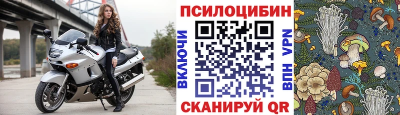 Псилоцибиновые грибы прущие грибы  закладка  блэк спрут рабочий сайт  Морозовск 